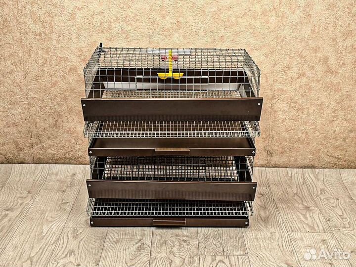 Клетка для перепелов