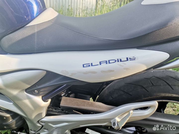 Suzuki Gladius 400