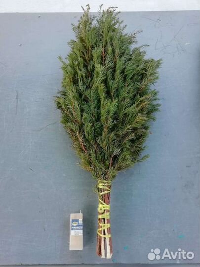 Веники для бани можевеловые