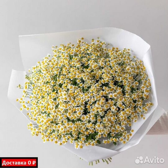 Бесплатная доставка букетов с ромашками