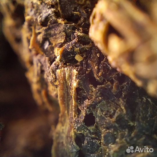 Кипрей гранулированный