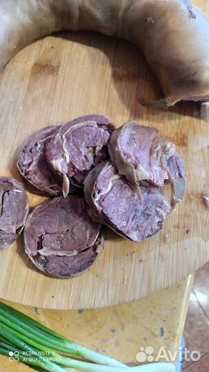 Конская колбаса казы