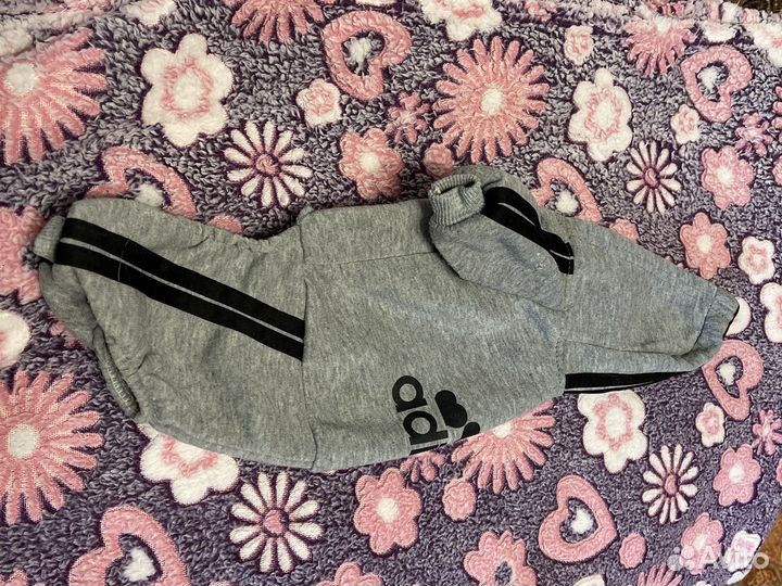 Комбинезон для маленькой собаки