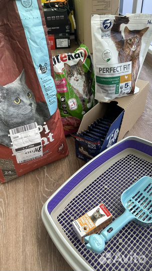 Кошачий наполнитель комкующийся