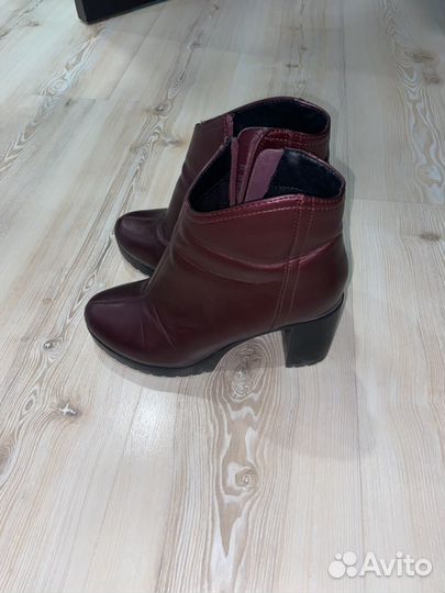 Женские демисезонные сапоги 37 t.taccardi