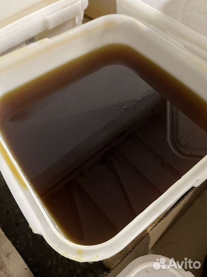 Дягиль мед свежий оптом