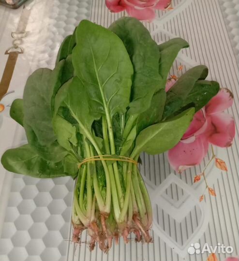 Зелень укроп петрушка лук оптом и розница