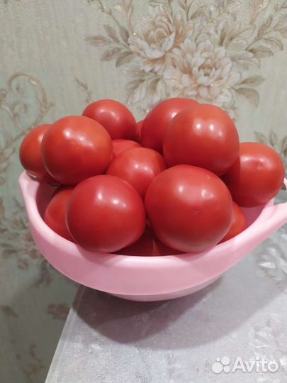 Помидоры свежие домашние