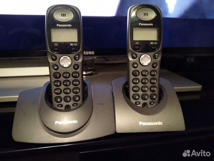 Panasonic