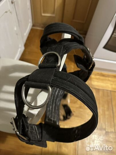 Шлейка для большой собаки