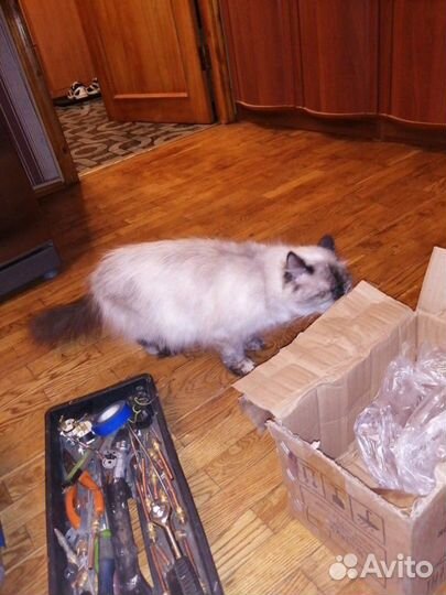 Ремонт холодильников