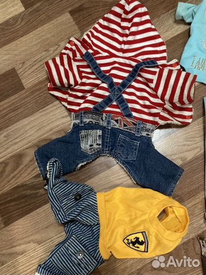 Набор одежды для собаки