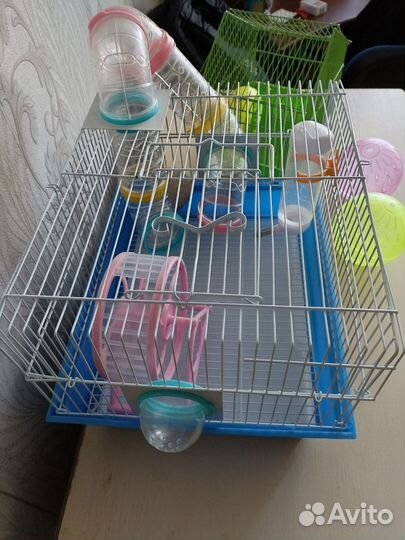 Клетка