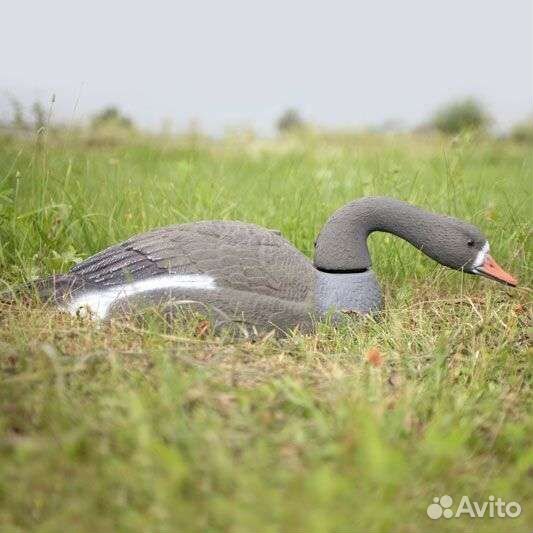 Чучела гусей (скорлупки) 23 шт