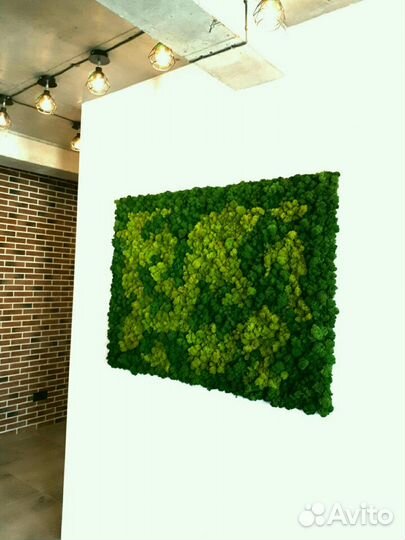 Стабилизированный мох ягель