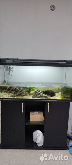 Аквариум 200л с тумбой и черепахами