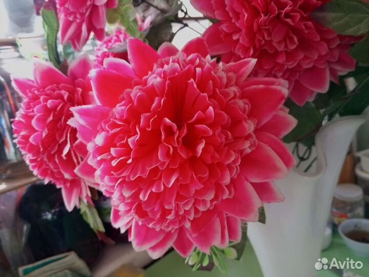 Цветы пионы