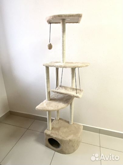 Когтеточка новая большая, комплекс