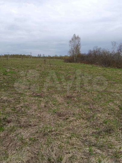 Участок 20 сот. (ИЖС)