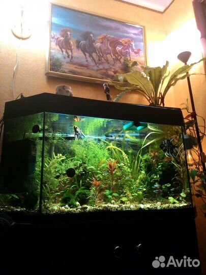 Аквариум многогранный 180 литров