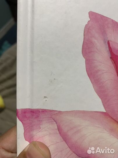 Ботанические портреты книга по акварели