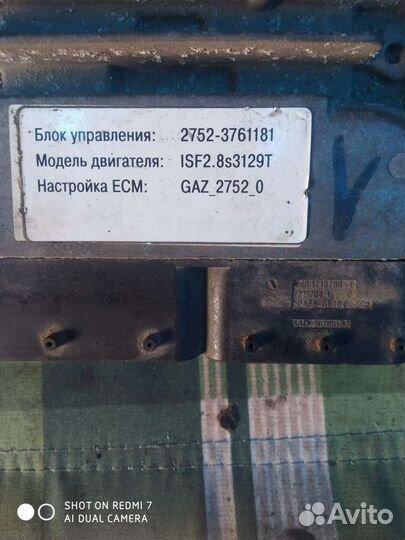 Эбу на соболь