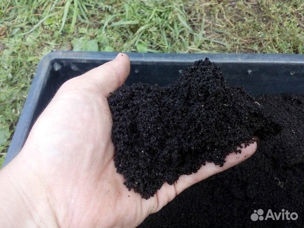 Биогумус (чистый концентрат) из конского навоза