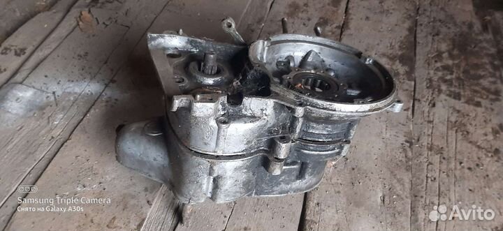 Картер на муравей