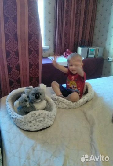 Няня на своей территории