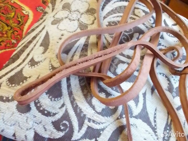 Шлейка с поводком