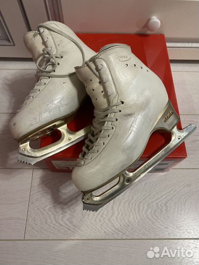 Коньки фигурные Edea Chorus 235
