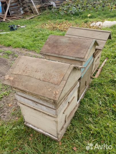 Улей для пчел