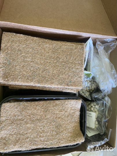 Набор для выращивания микрозелени