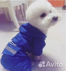 Комбинезон для собачки