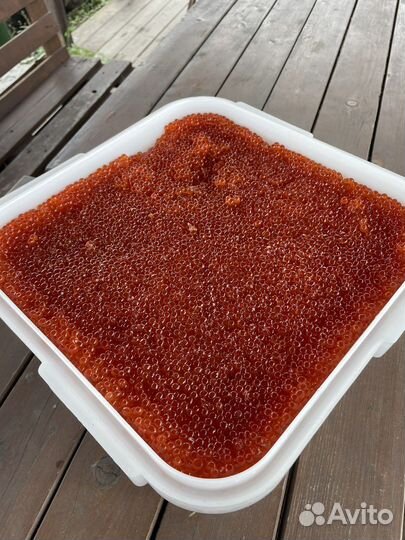 Икра красная Кета 2023