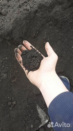 Земля чернозем