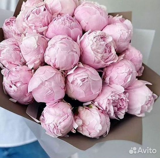 Пионы Букеты Цветы Доставка
