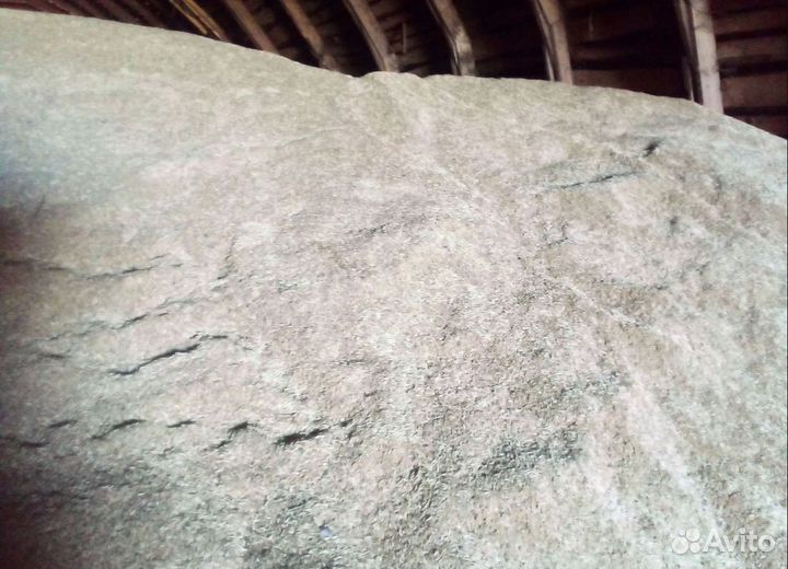 Кормовой горох, Просо корма