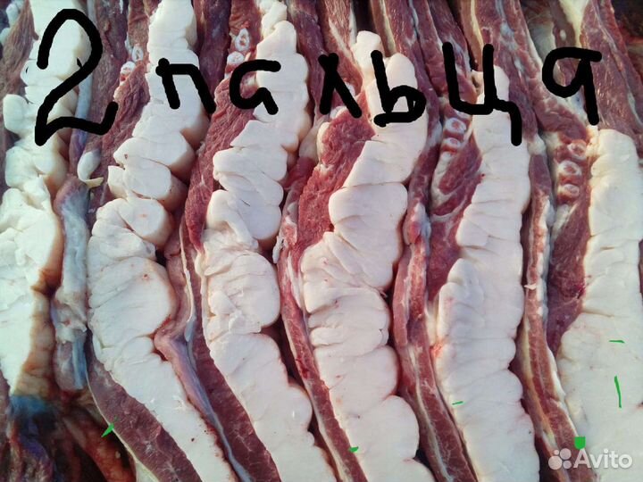 Конина забой 9 сентября