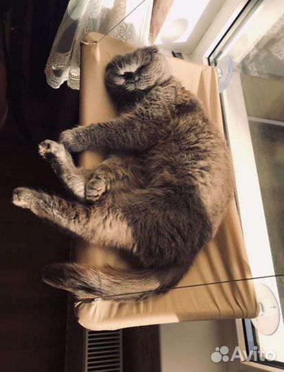 Подвесной лежак для кошек