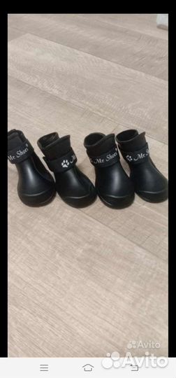 Резиновые сапоги для собак