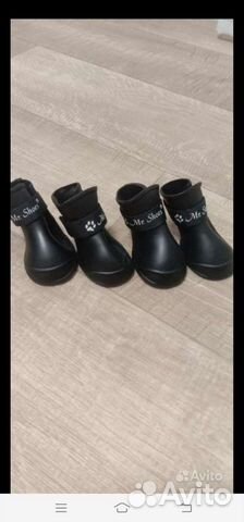 Резиновые сапоги для собак