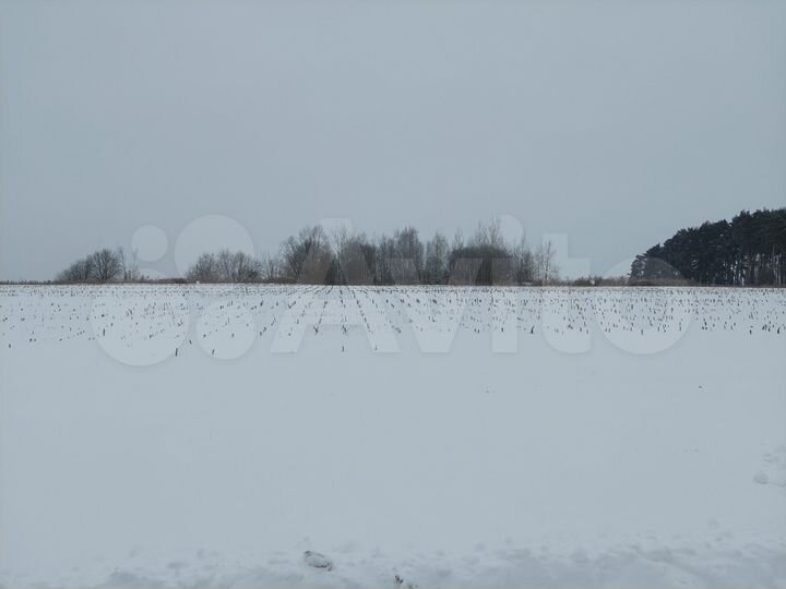 Участок 6 сот. (ИЖС)