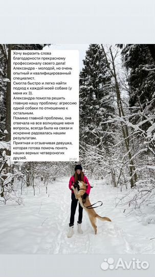 Дрессировка собак/кинолог ; г.Раменское