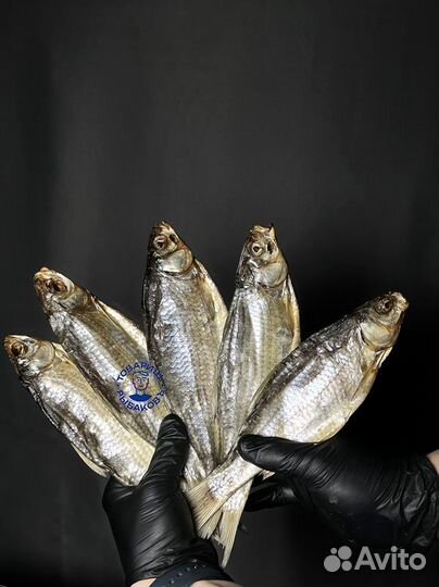 Вяленая вобла