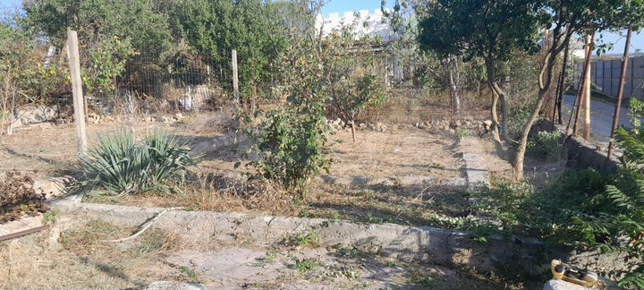 Участок 4 сот. (СНТ, ДНП)