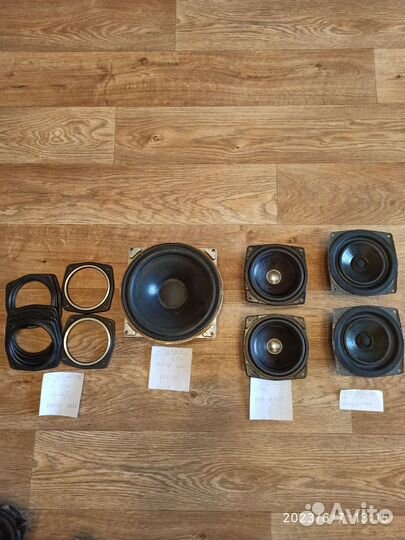Динамики разные