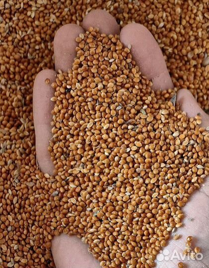 Комбикорм для крс и птиц