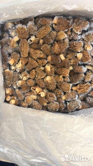 Сморчковая шапочка замороженная(Доставка)