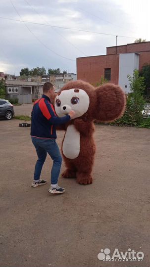 Экспресс поздравление от Ушастика